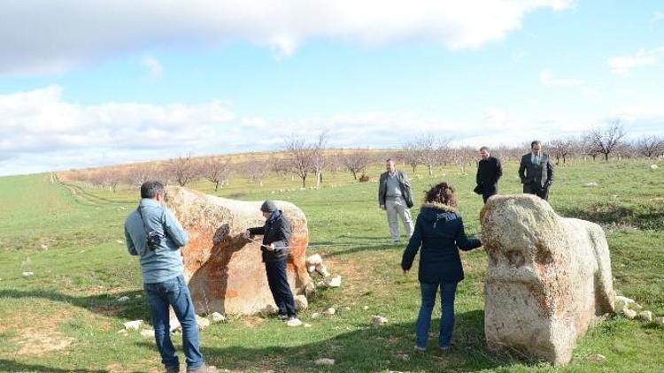 Sivas Koruma Kurulu Üyeleri Darende’de İnceleme Yaptı