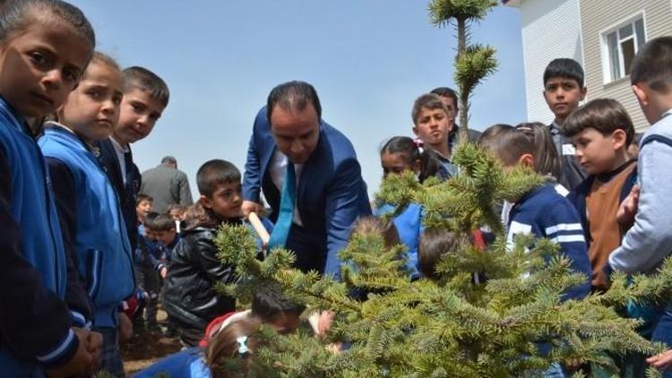 Tatvan’da Fidan Dikim Etkinliği