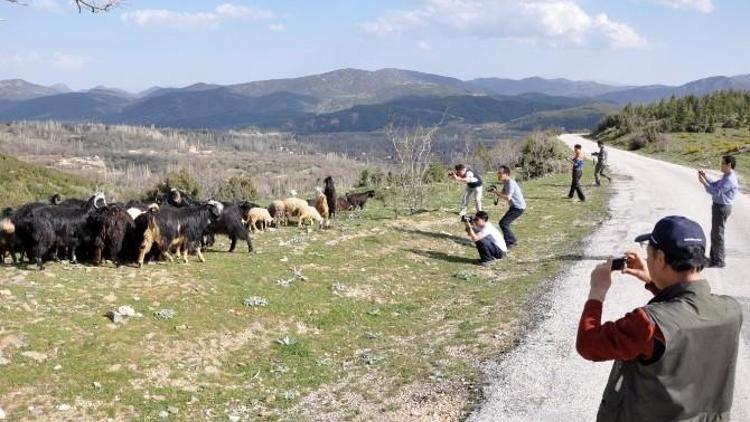 Güney Koreli Turist Hedefine Yönelik Tanıtım