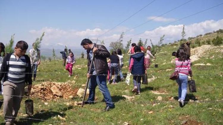 TEGV’den Fidan Dikim Etkinliği