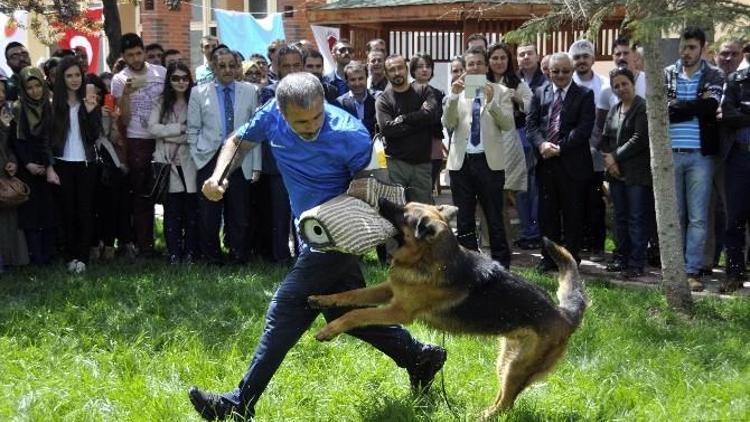 Köpeklerin Eğitim Gösterisine İzleyicilerden Yoğun İlgi