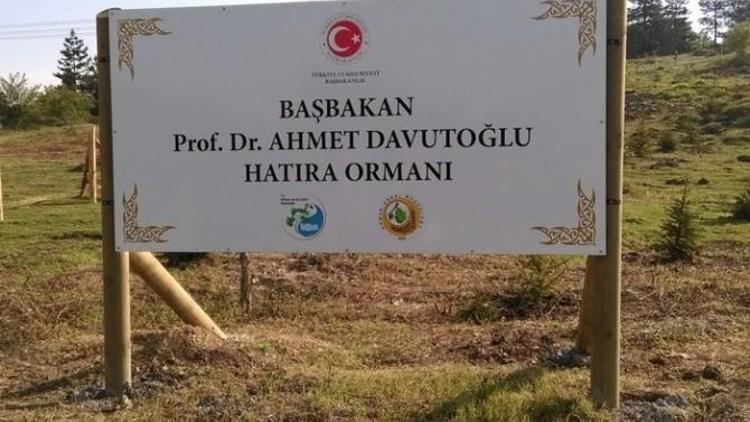 Düzce’de Başbakan Adına Hatıra Ormanı Oluşturuldu