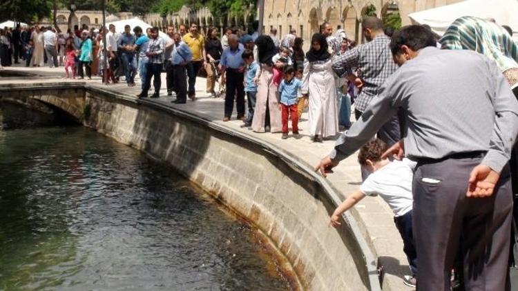 Balıklıgöl’e Turist Akını