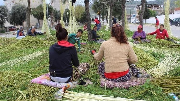 Söğüt Dalları Yeşillendi Sepetçi Romanlar Bayram Yaptı