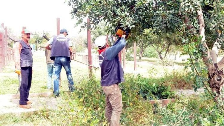 Akdeniz Belediyesi Mesire Alanlarında Bahar Temizliği Yaptı