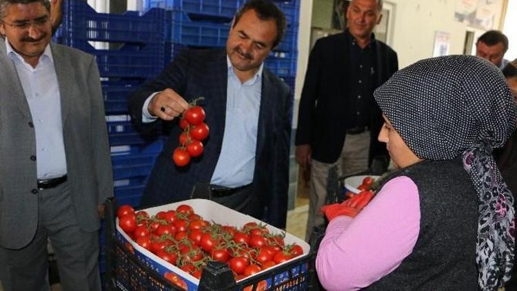 Samani, Soğuk Hava Deposu Açtı