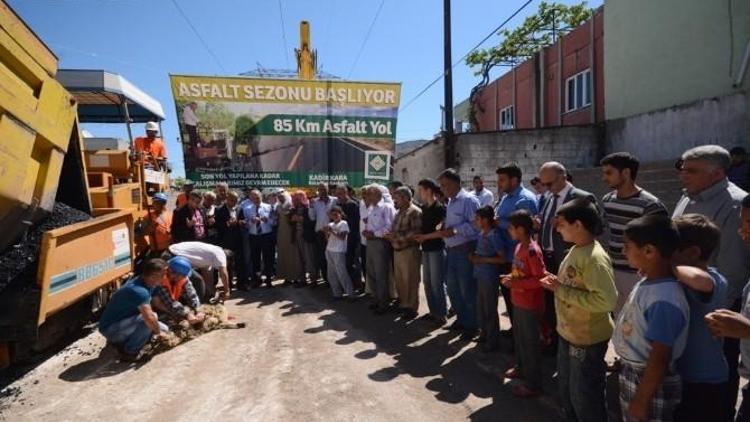 Asfalt Sezonu Kurban Kesilerek Başladı