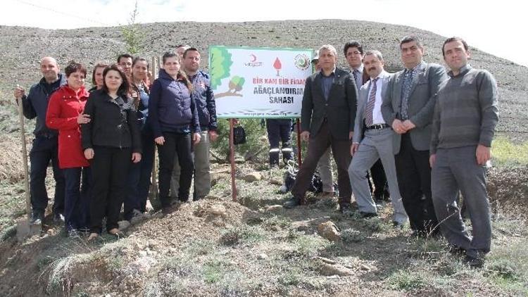 Erzincan’da “Bir Kan, Bir Fidan” Projesi İle 14 Bin 500 Çam Fidanı Dikildi