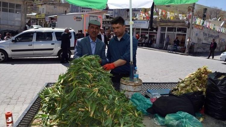 Şifalı Otlar Geçim Kaynakları Oldu