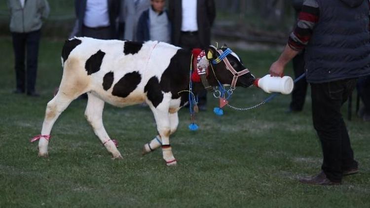 Çermik Festivali Dolu Dolu Geçiyor…