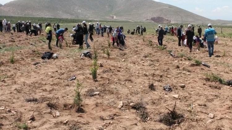 Şehit Savcı Kiraz İçin Hatıra Ormanı Oluşturuldu