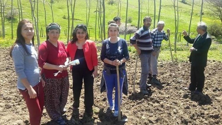 Tarlada Çalışan Kadınlara Anneler Günü Kutlaması