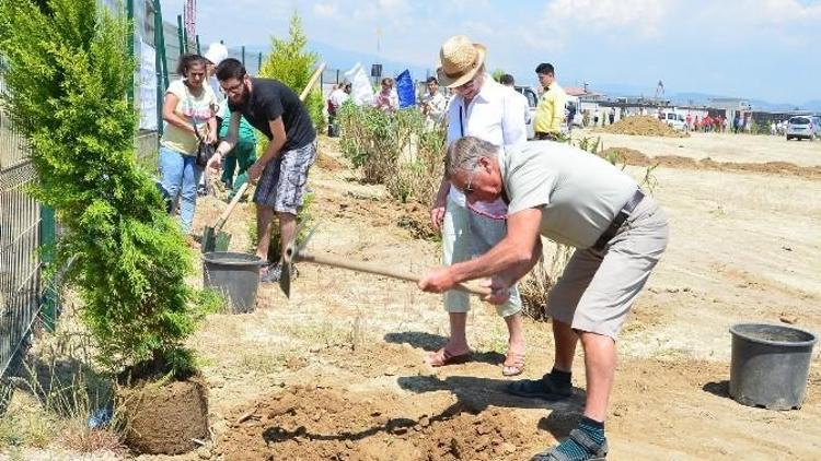 Mavi Bayrak İçin 160 Fidan Toprakla Buluşturuldu