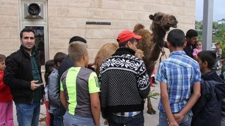 Veysel Karani Anma Etkinlikleri Bu Yıl Sönük Geçti