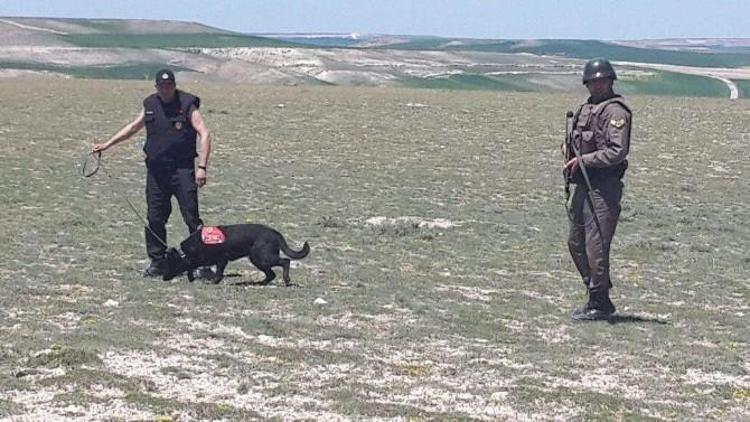 Yozgat Jandarmanın İz Takip Köpek Timi Babasını Öldüren Zanlıyı Yakaladı