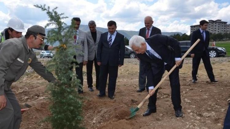 Başbakan Ahmet Davutoğlu Adına Hatıra Ormanı Oluşturuldu