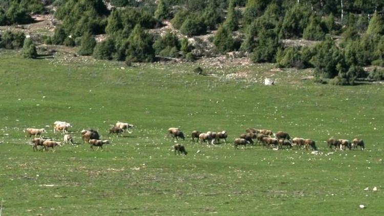 Büyükorhan’da Projeler Tamam, Sıra Uygulamada