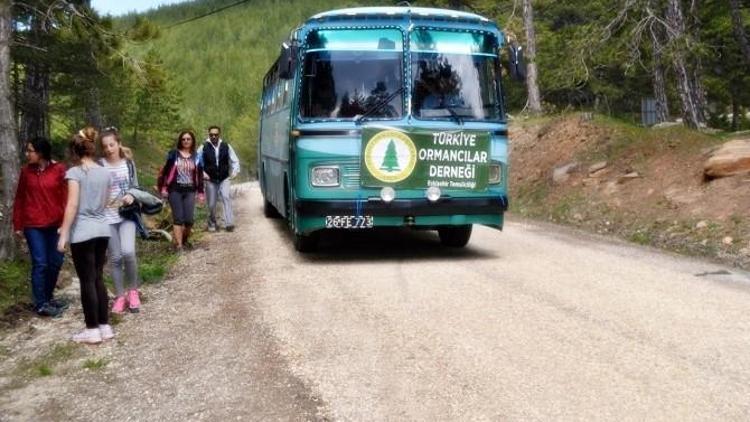 “Çatacık Ormanları Doğa Yürüyüşü” Etkinliği