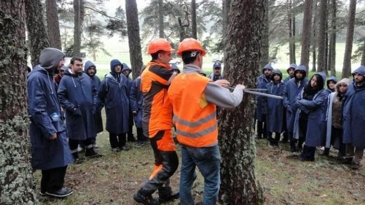 Orman Fakültesi Öğrencileri Dersi Ormanda Yaptılar