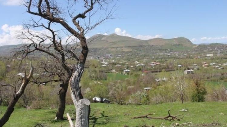 Gevaş’ta Sulama Suyu Sorunu Çözülüyor