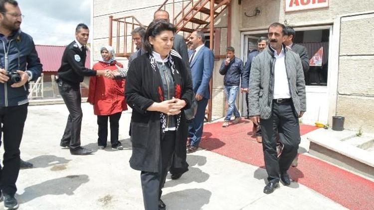 HDP Ağrı Milletvekili Adayı Zana’nın Seçim Çalışmaları
