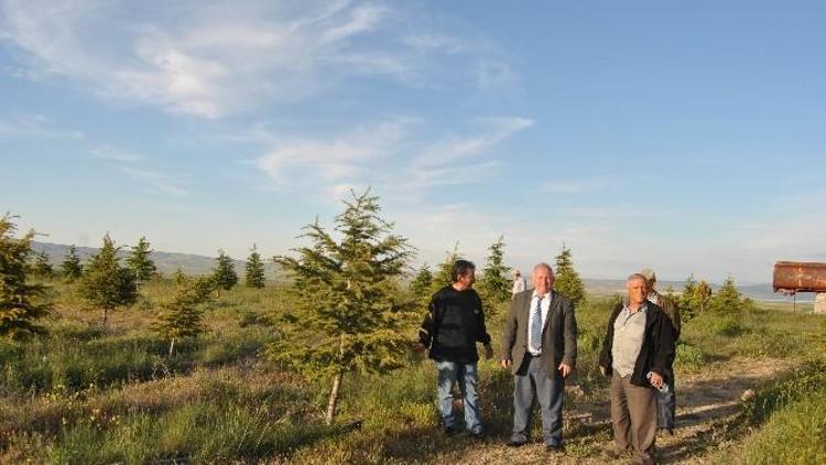 Kulu Doğal Hayatı Koruma Derneği’nden Açıklama