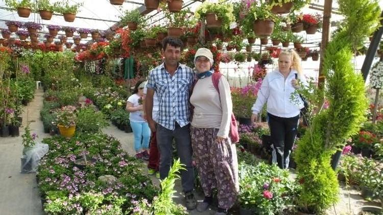 Burhaniye’de Kışın Sert Geçmesi Çiçekçilerin İşini Arttırdı