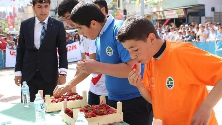 Sason’da 19 Mayıs Kutlamalarına Yerli Çilek Yarışması Eklendi