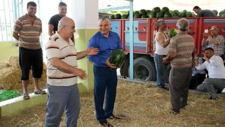 Yılmaz: Karpuzda İthalat Darbesine Son Vereceğiz