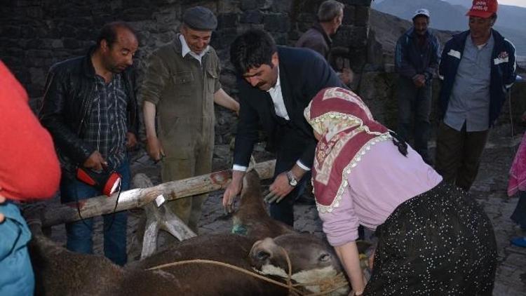 Seçim Çalışmasında İlk Müdahale