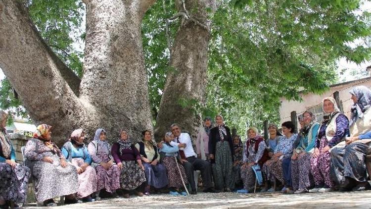 Konuk: ”Taşeli Bölgesinde Ekonomi Yeniden Canlanacak”