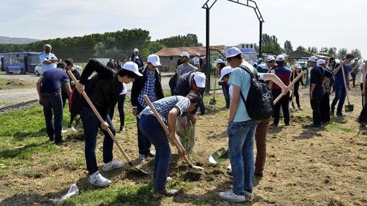 6 Bin Fidan Toprakla Buluştu