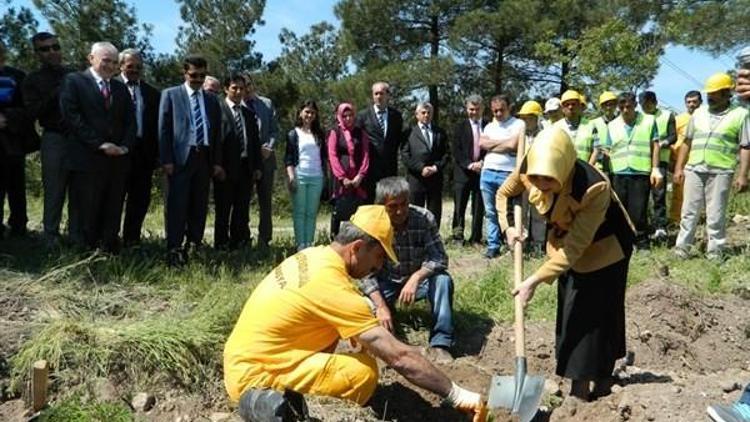 Amasya SGK’dan Hatıra Ormanı