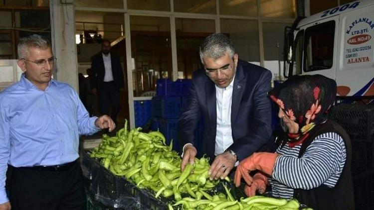 MHP’li Tarkan Akıllı Serik Hal’inde