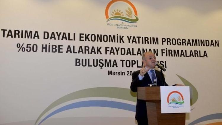 ’Tarıma Dayalı Ekonomik Yatırım Programları