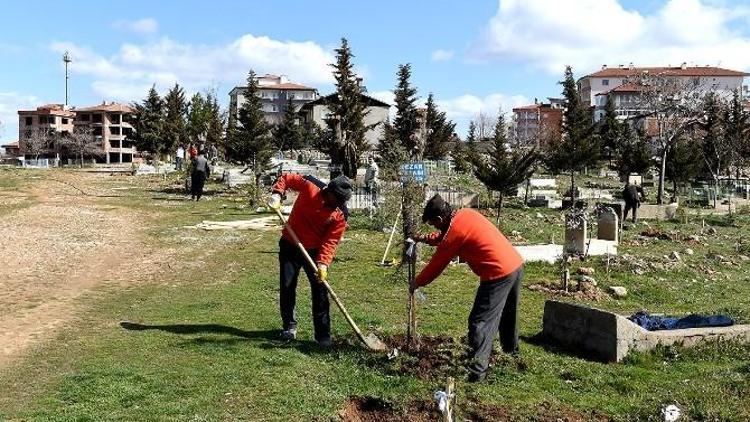 Mezarlıklarda, Temizlik Ve Bakım Çalışmaları Devam Ediyor