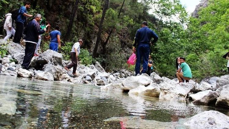 Geyik Kanyonunda Geyik Üretilecek