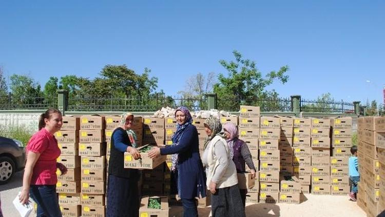 Karaman’da Sebze Kurutma Projesi Kapsamında 160 Bin Fide Dağıtıldı