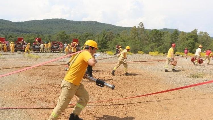 Ateş Savaşçıları Alevlere Kısa Sürede Müdahale İçin Yarıştı