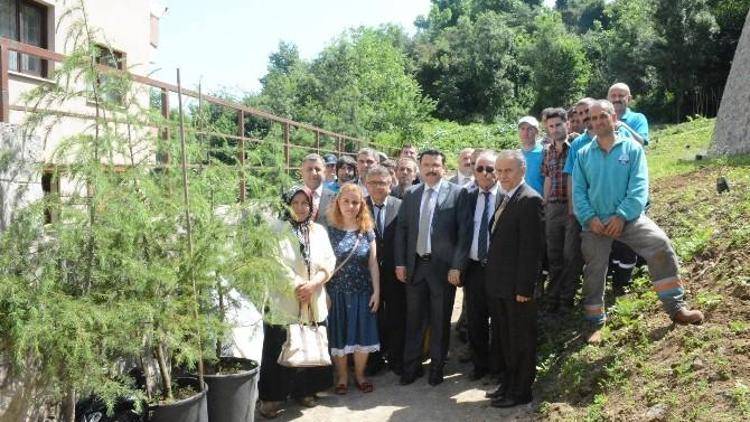 Ortahisar Belediyesi’nden Fidan Dikme Kampanyası