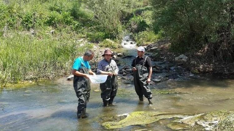 Beyşehir’de İlaçlama Çalışmaları Sürüyor