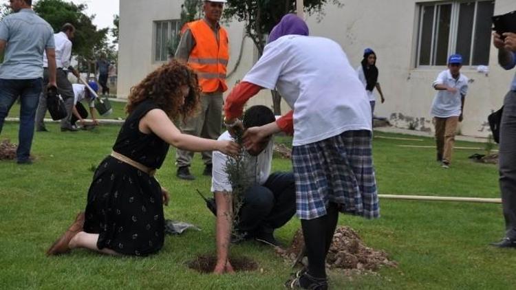 Silopi’de Uçurtma Ve Fidan Dikme Kampanyası