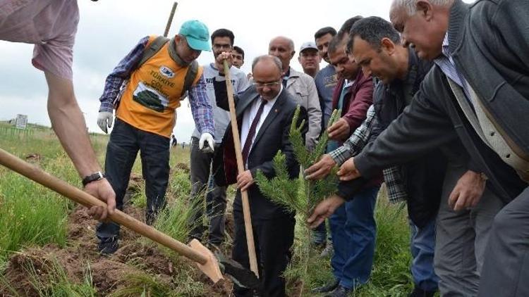 Bünyan Belediyesi TEMA Vakfıyla Birlikte Ağaç Dikimi Gerçekleştirdi