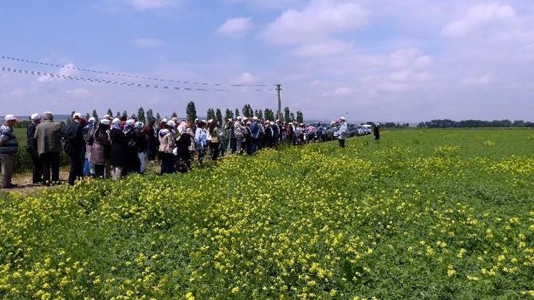 Eskişehir’de “Tarla Günü” Etkinliği