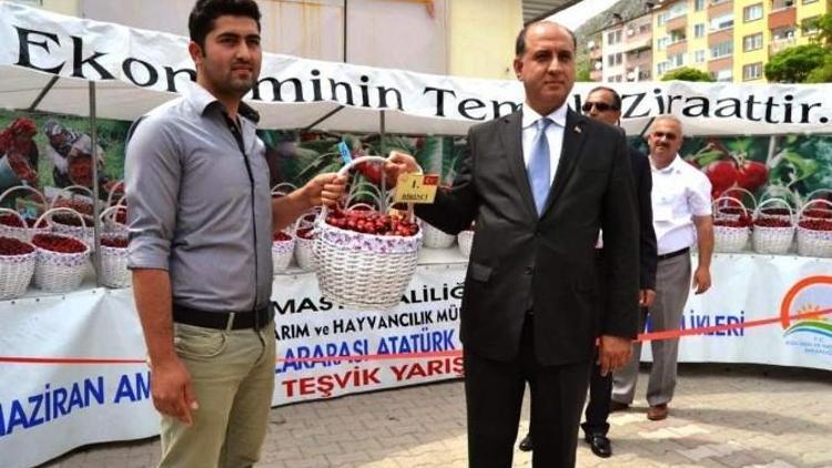 Amasya’da Kirazlar Yarıştı