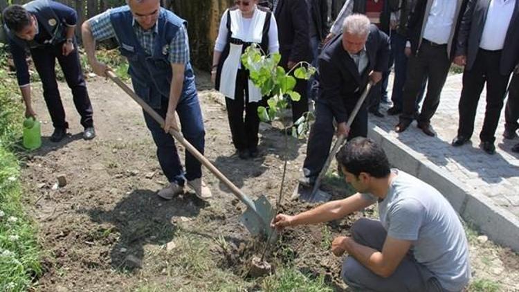 Dinçer, Çatalzeytin Paşalı Köyünü Ziyaret Etti