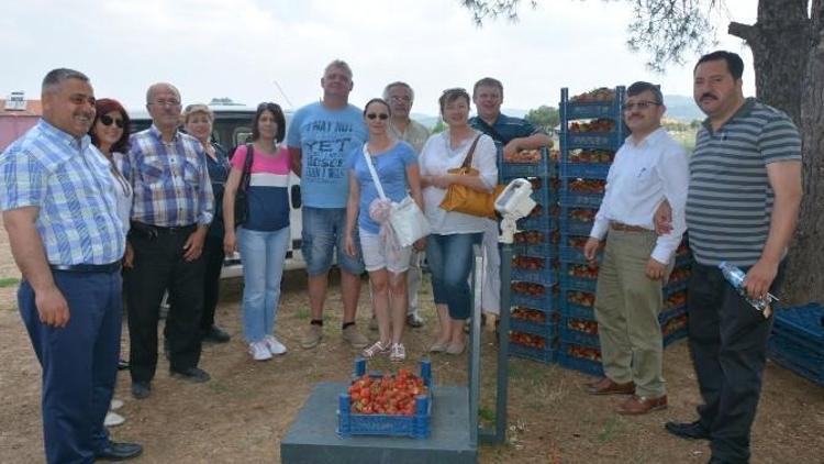 Macarlar Bağdaş Kurup Yer Sofrasında Yemek Yedi