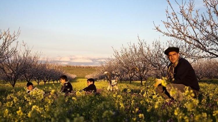 Yeşilyurt Her Mevsim Güzel İlkbahar Fotoğraf Yarışması Tamamlandı