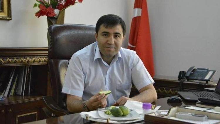 Viranşehir Kaymakamı Dr. Huzeyfe Citer’den Şelengoyu Tam Not