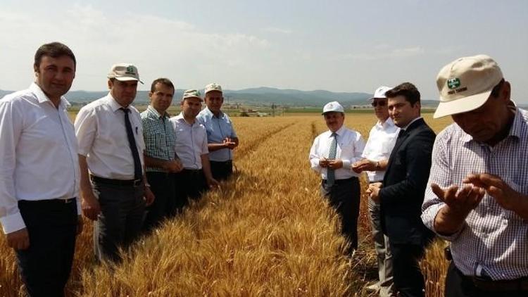 Malkara’da Tarla Günü Etkinliği